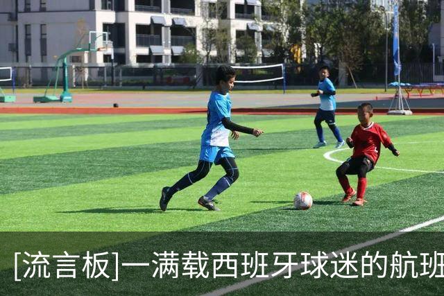 [流言板]一满载西班牙球迷的航班上演激动一幕，众人得知世界杯夺冠